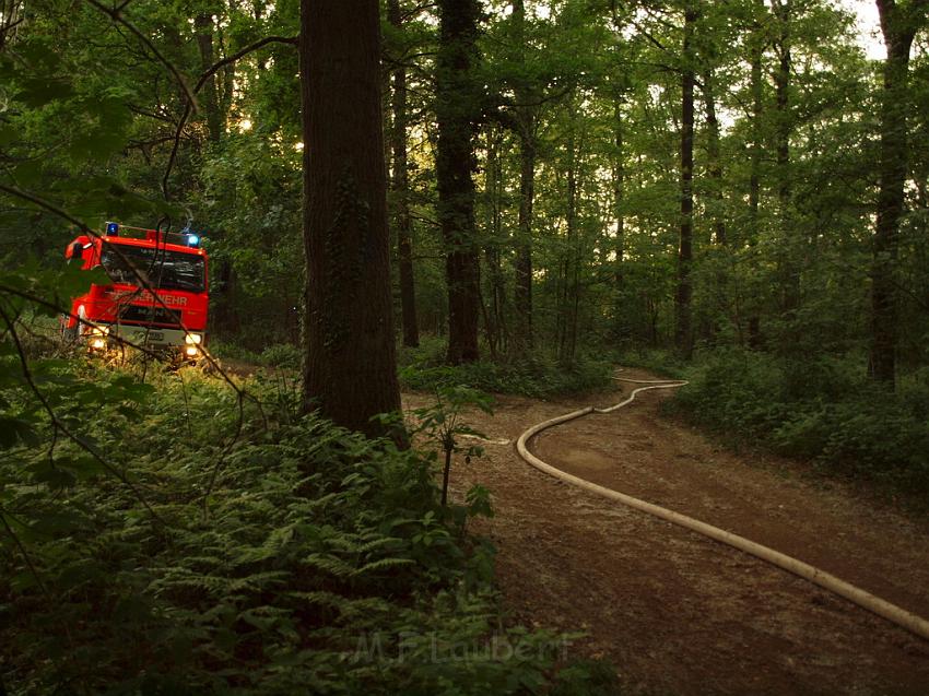 Waldbrand Bergisch Gladbach Bensberg P187.JPG